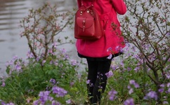 强壮的公弄得高潮HD